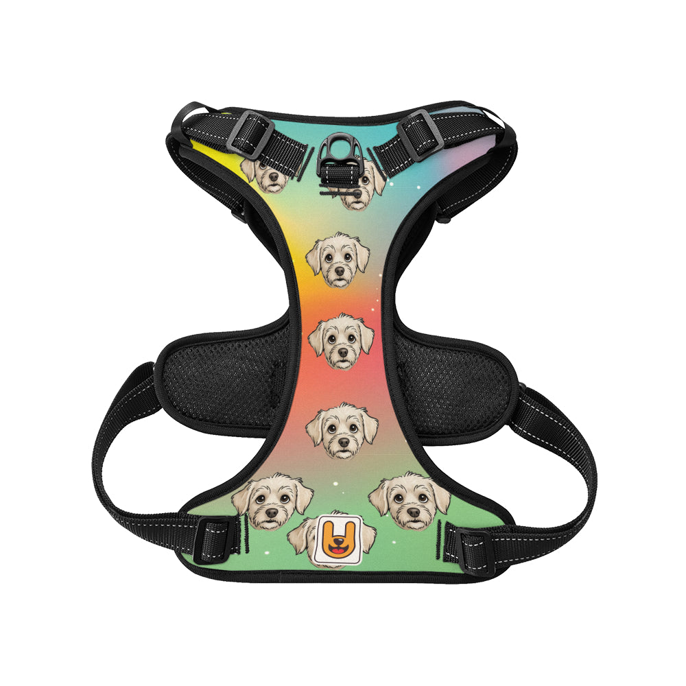 Storm - Custom Dog harness