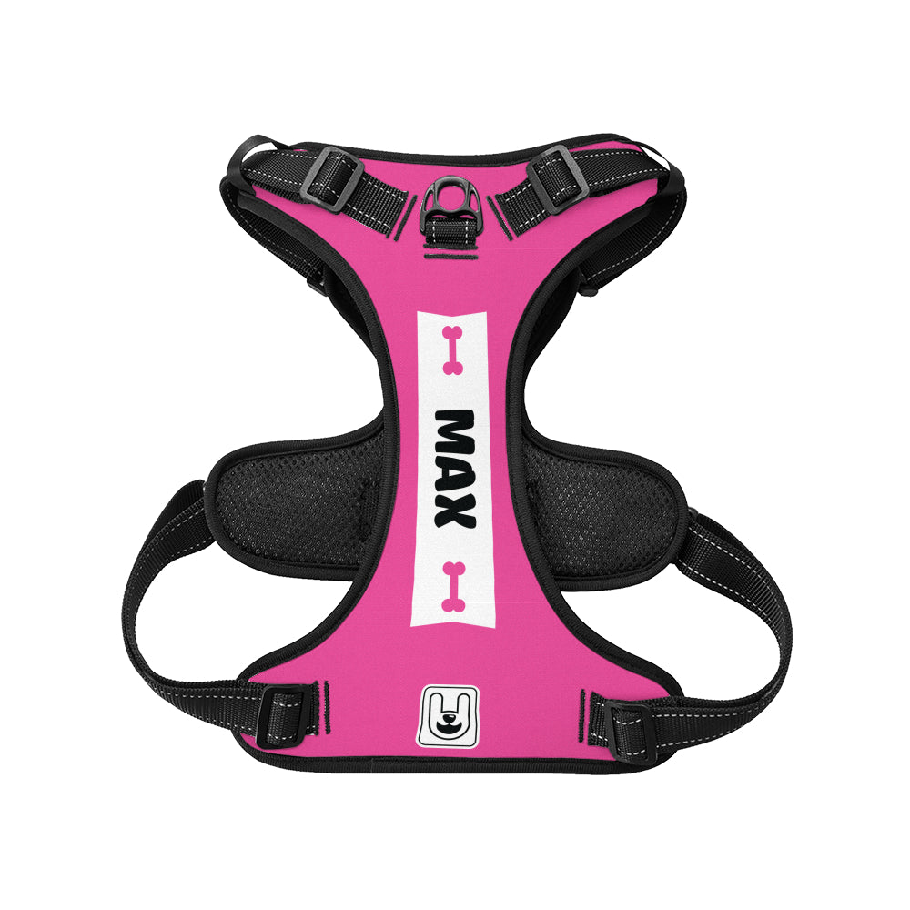 Ajax - Custom Dog harness