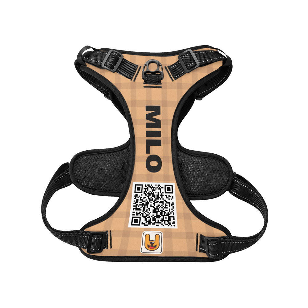 Apollo - Custom Dog harness