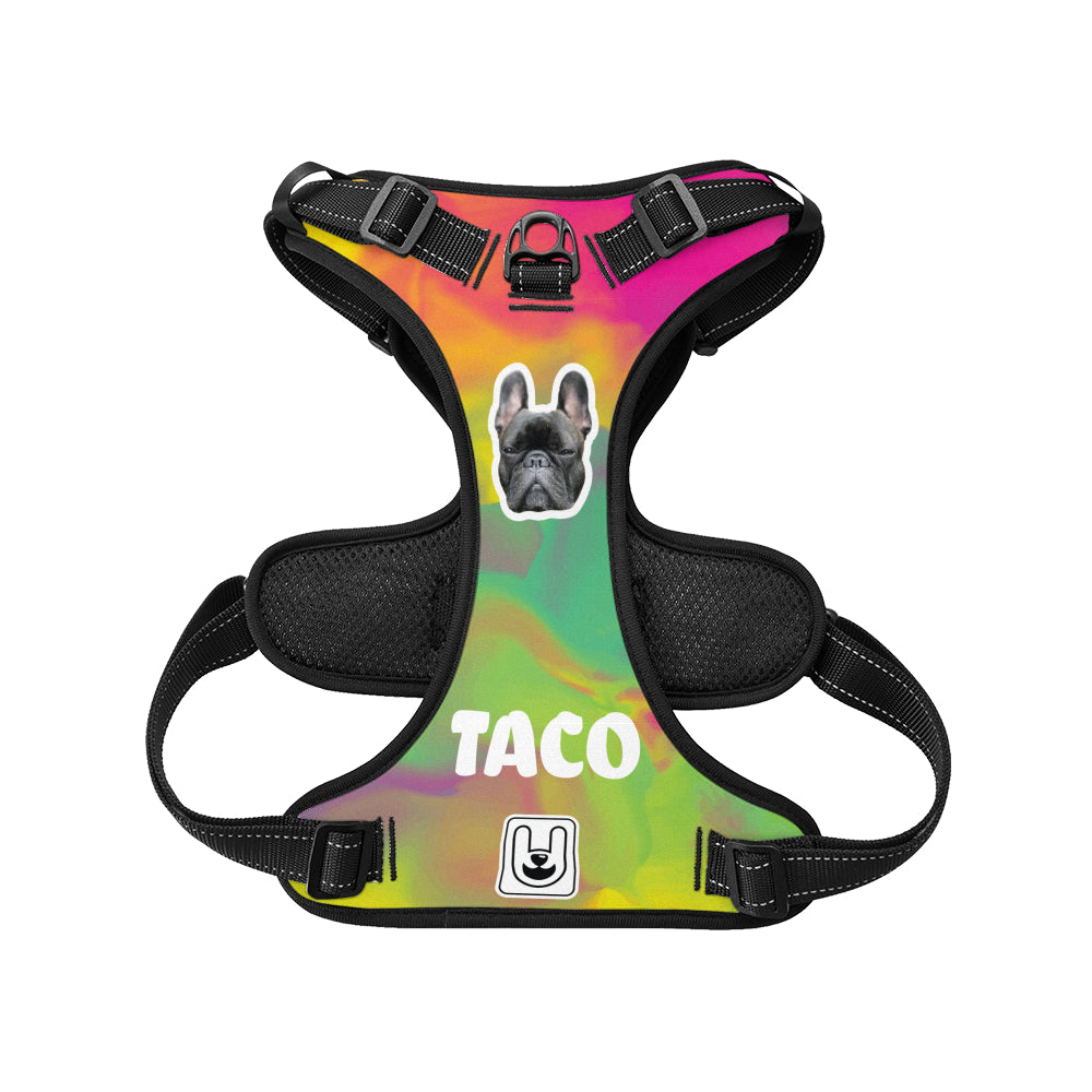 Titania - Custom Dog harness