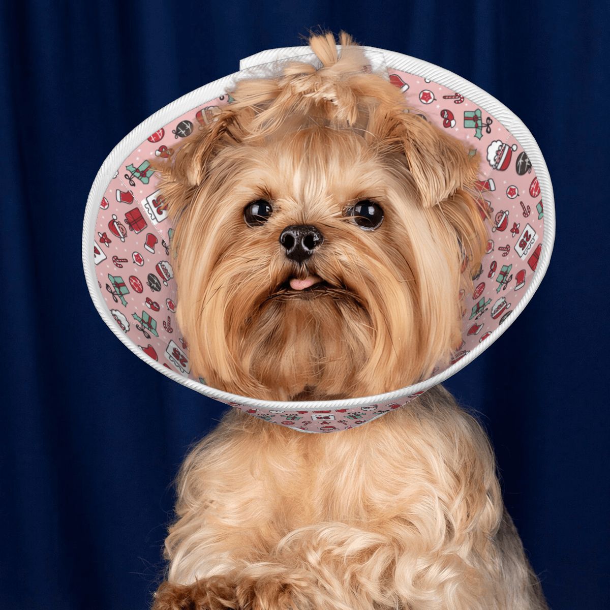 lvy - Soft Dog Cone & Elizabethan Collar
