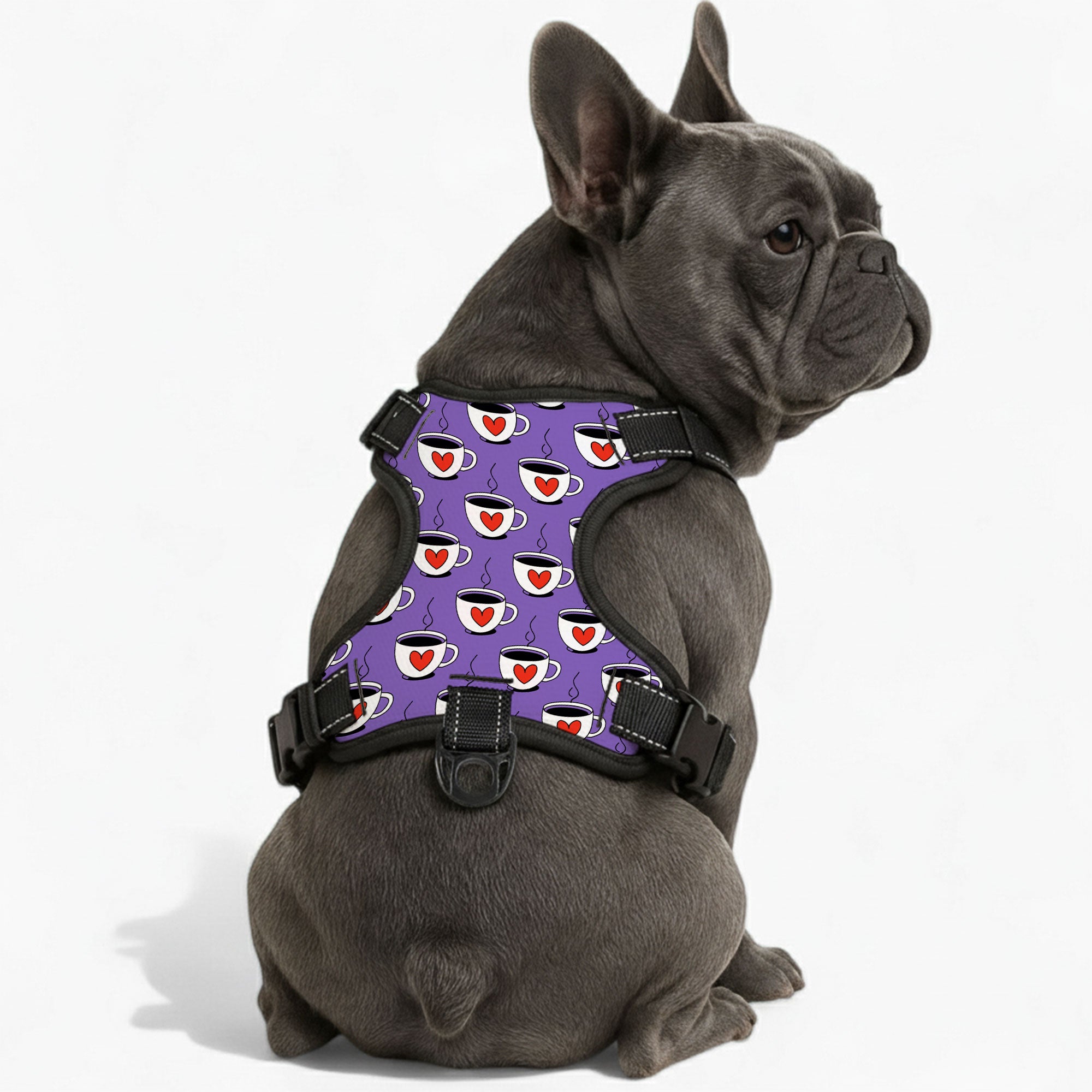 Winston  - NO-PULL Dog Harness & Leash Set | for small and large Dogs