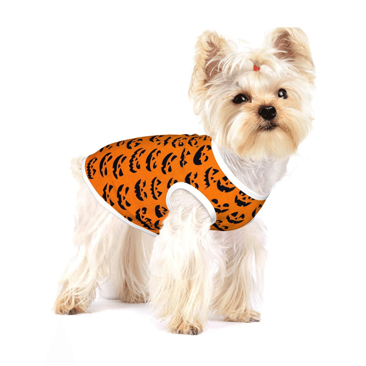 Spooky Jack-O'-Lantern Small Dog Shirt