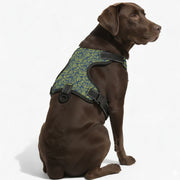 Jasper - NO-PULL Dog Harness & Leash Set | for small and large Dogs