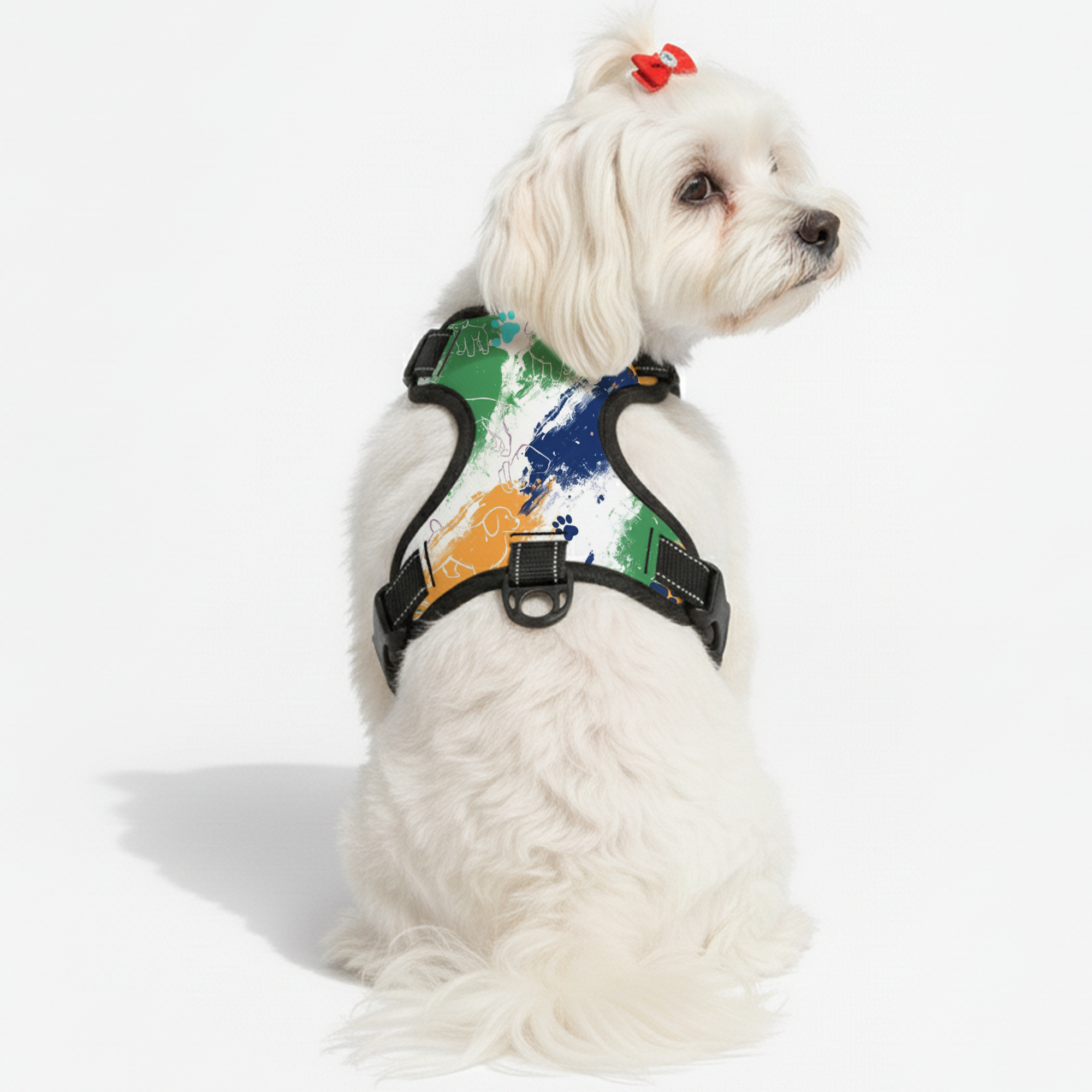 Oliver - NO-PULL Dog Harness & Leash Set | for small and large Dogs