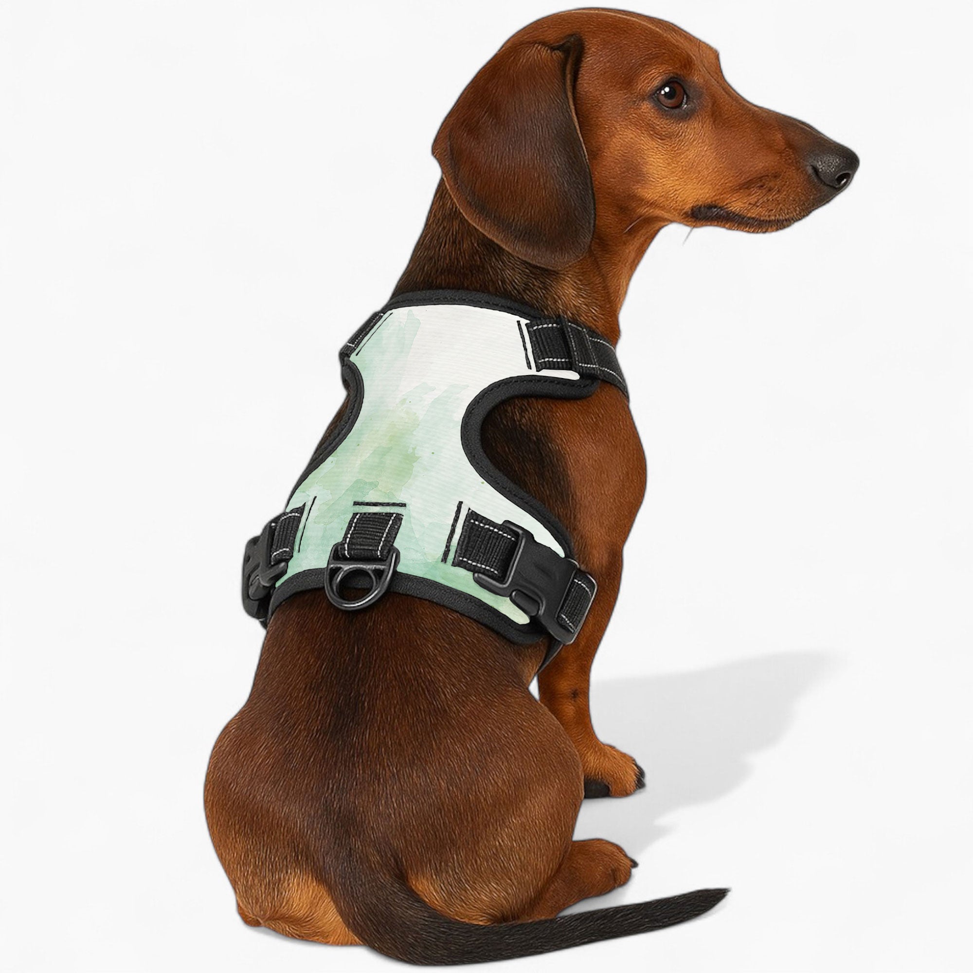 Toby - NO-PULL Dog Harness & Leash Set | for small and large Dogs