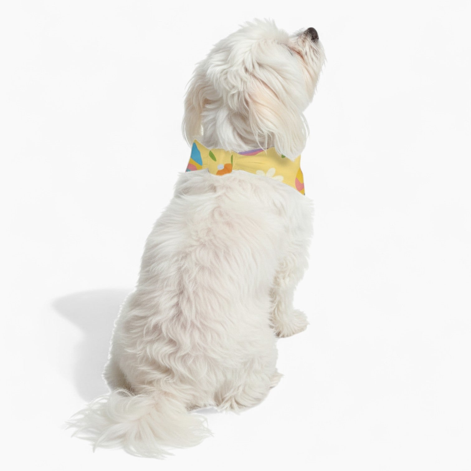 Inka - Stylish Dog Bandana