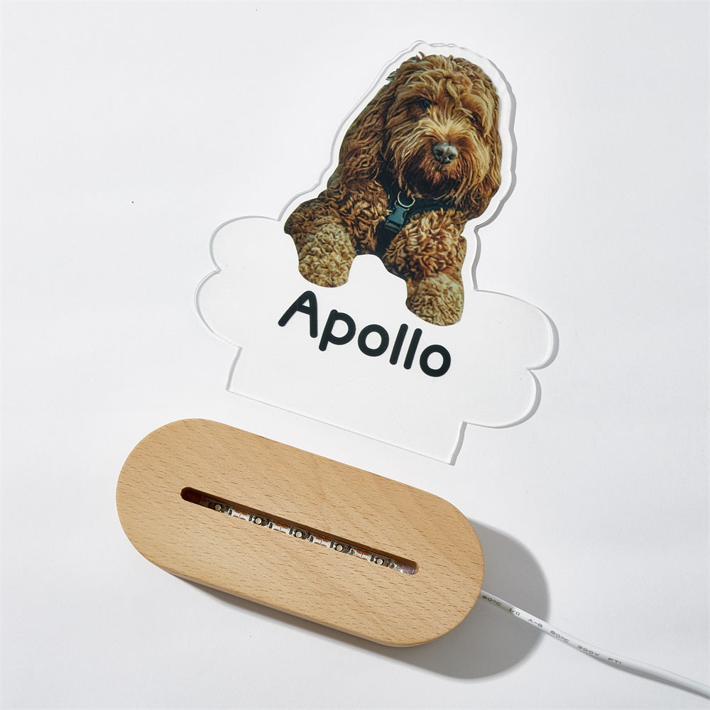 Custom Dog Night Light – Bone-Shaped Acrylic Plaque with LED Base