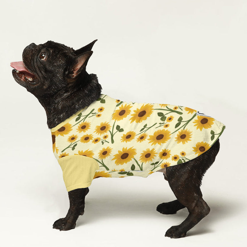 Chester - Dog Wool Sweater