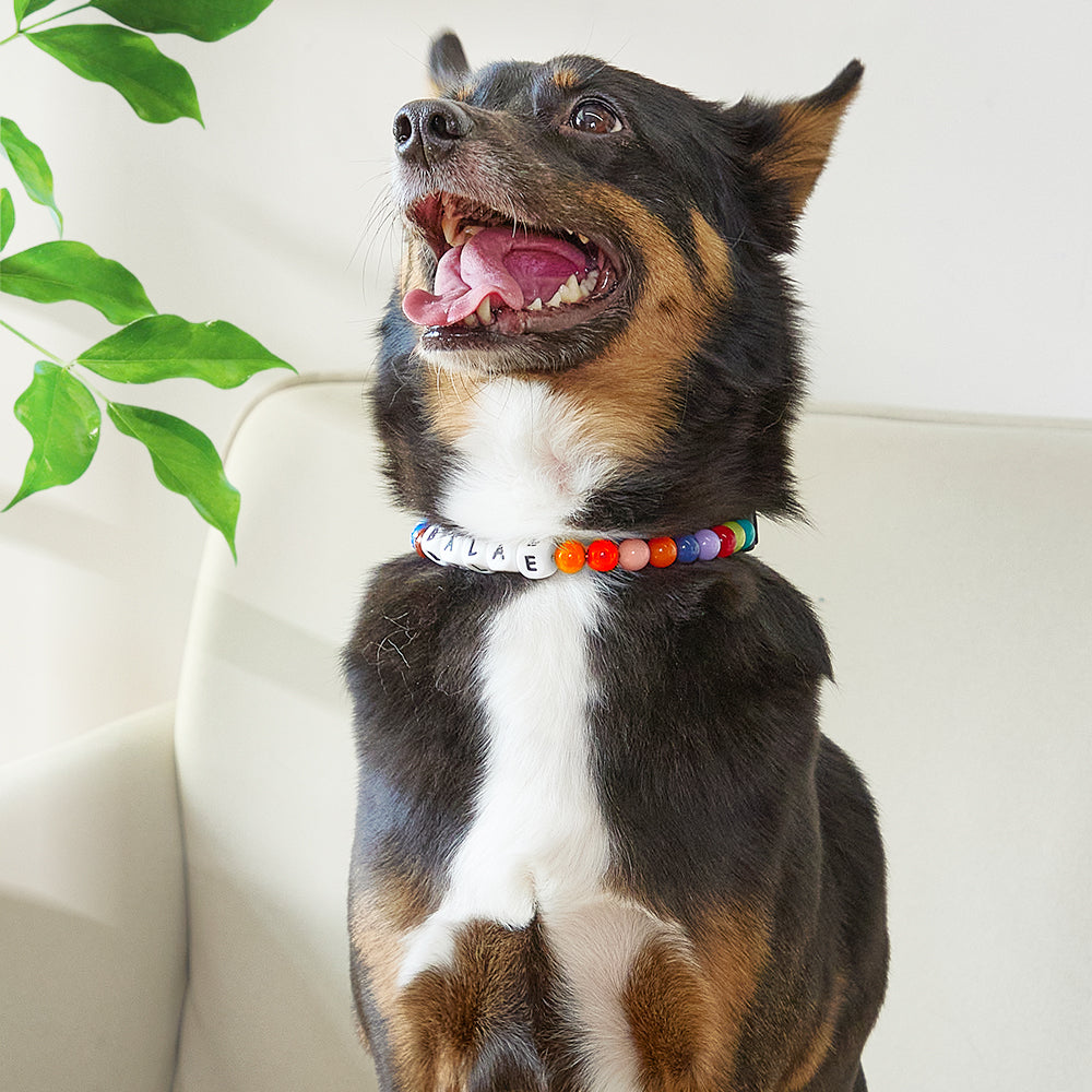 Custom Beaded Pet Collar – Personalized Dog Lover Gift