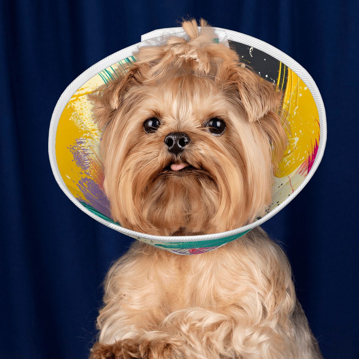 Coco - Soft Dog Cone & Elizabethan Collar