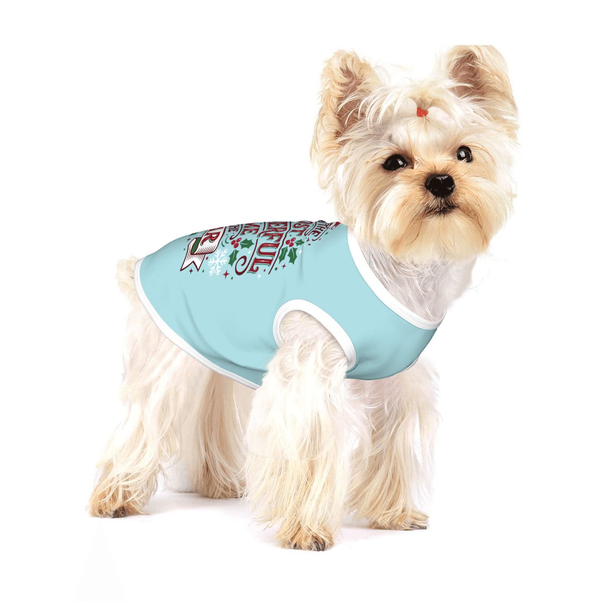 Most Wonderful Time of the Year Small Dog Shirt