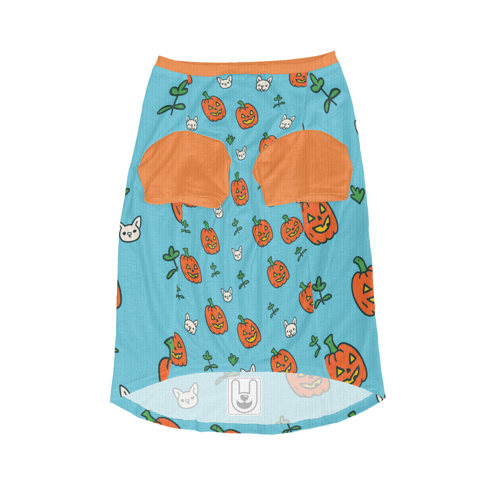 Sunny - Dog Wool Sweater