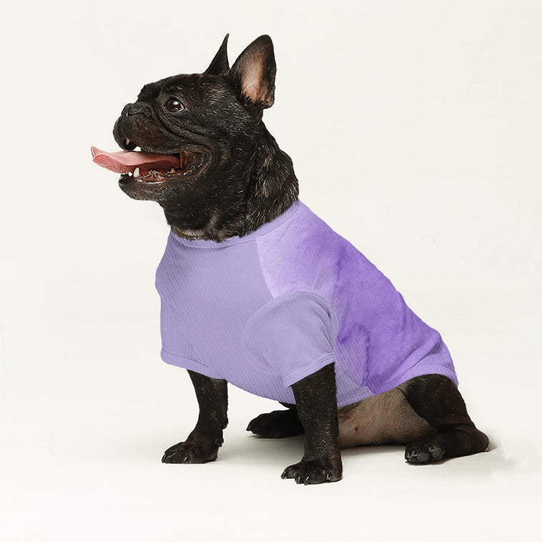 Penny - Dog Wool Sweater