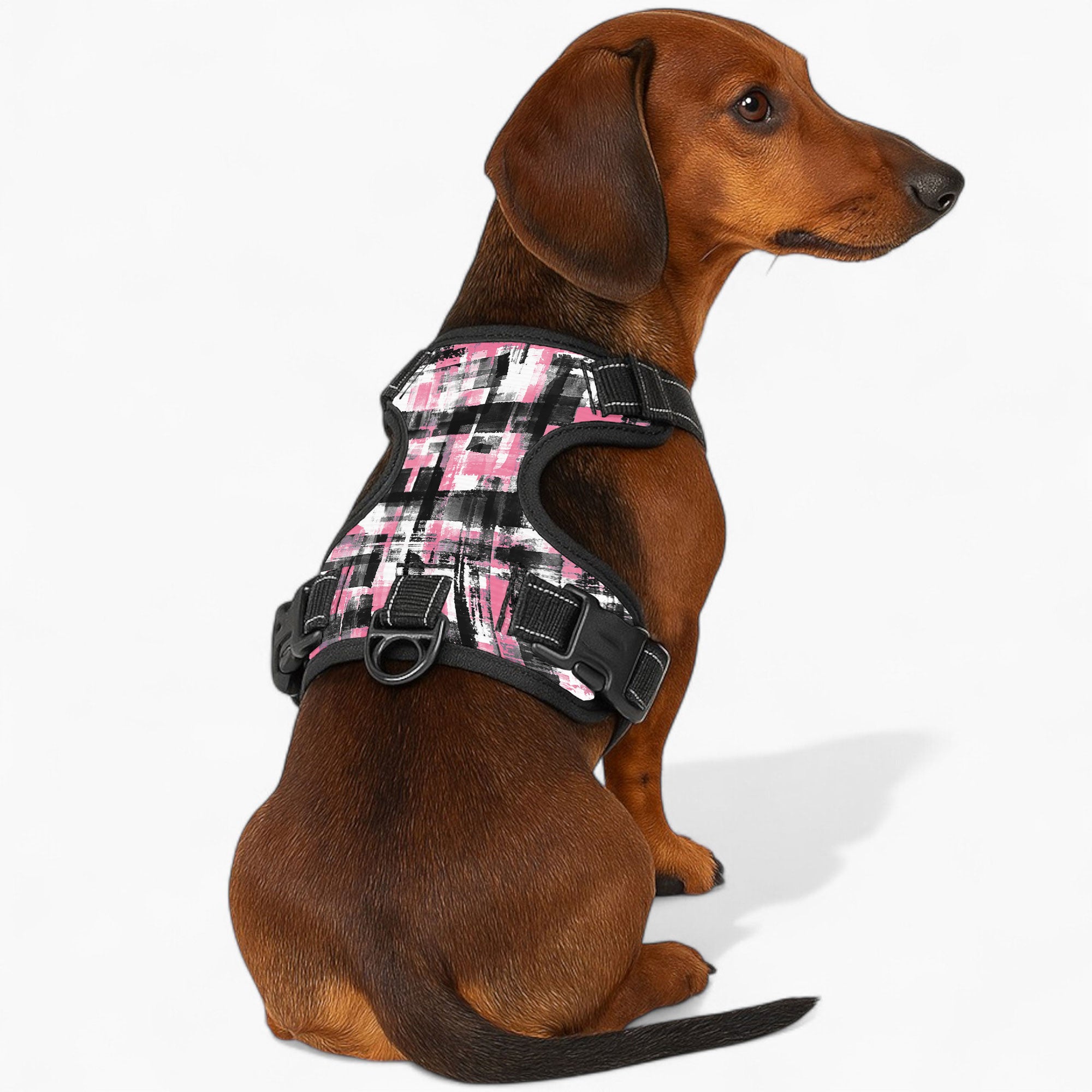 Thor - NO-PULL Dog Harness & Leash Set | for small and large Dogs