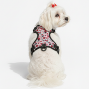 Roya  - NO-PULL Dog Harness & Leash Set | for small and large Dogs