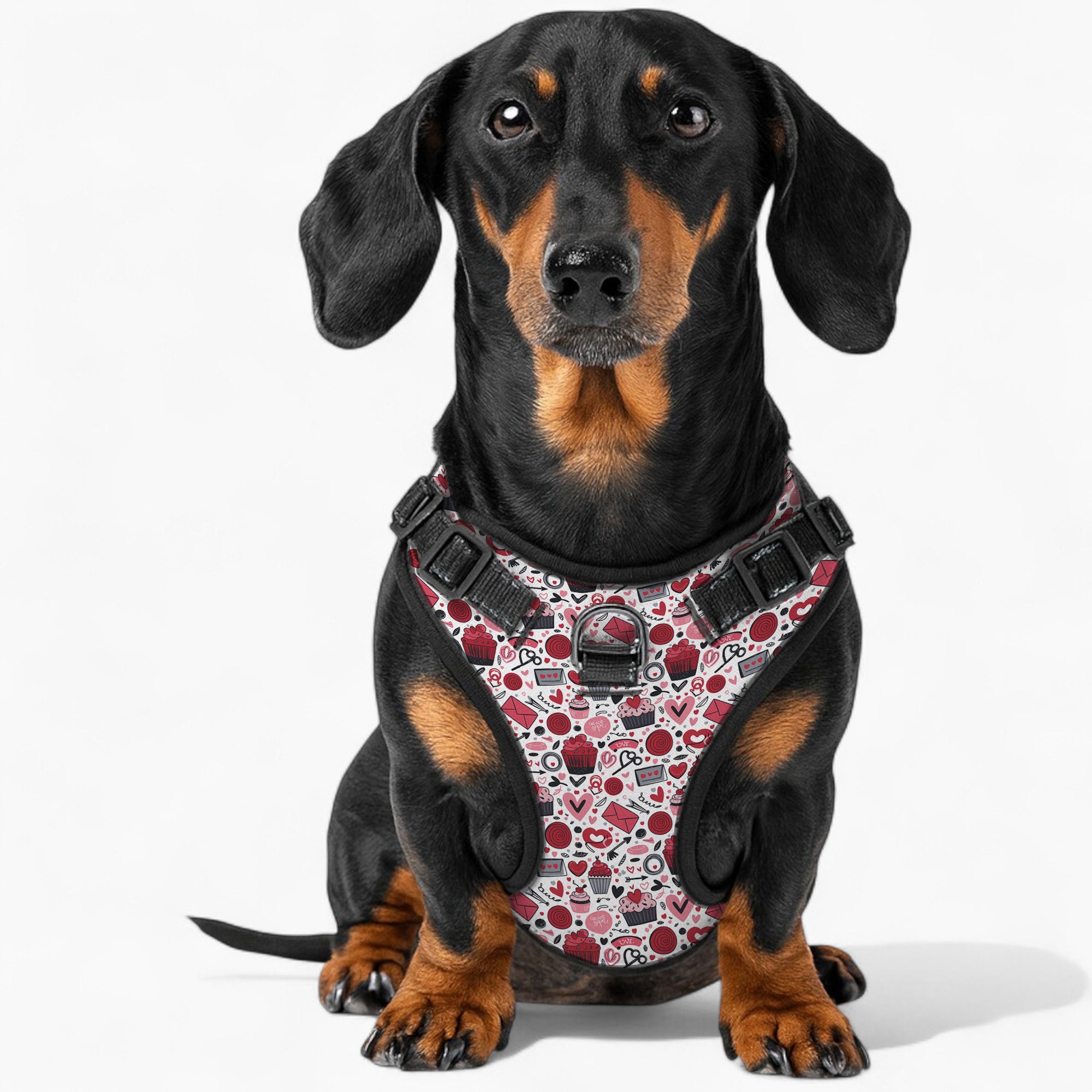 Roya  - NO-PULL Dog Harness & Leash Set | for small and large Dogs