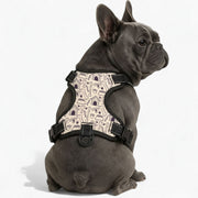 Rose  - NO-PULL Dog Harness & Leash Set | for small and large Dogs