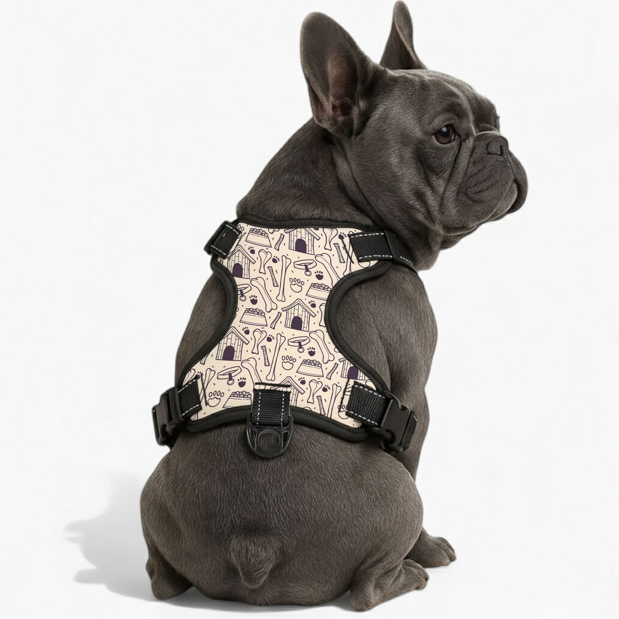 Rose  - NO-PULL Dog Harness & Leash Set | for small and large Dogs