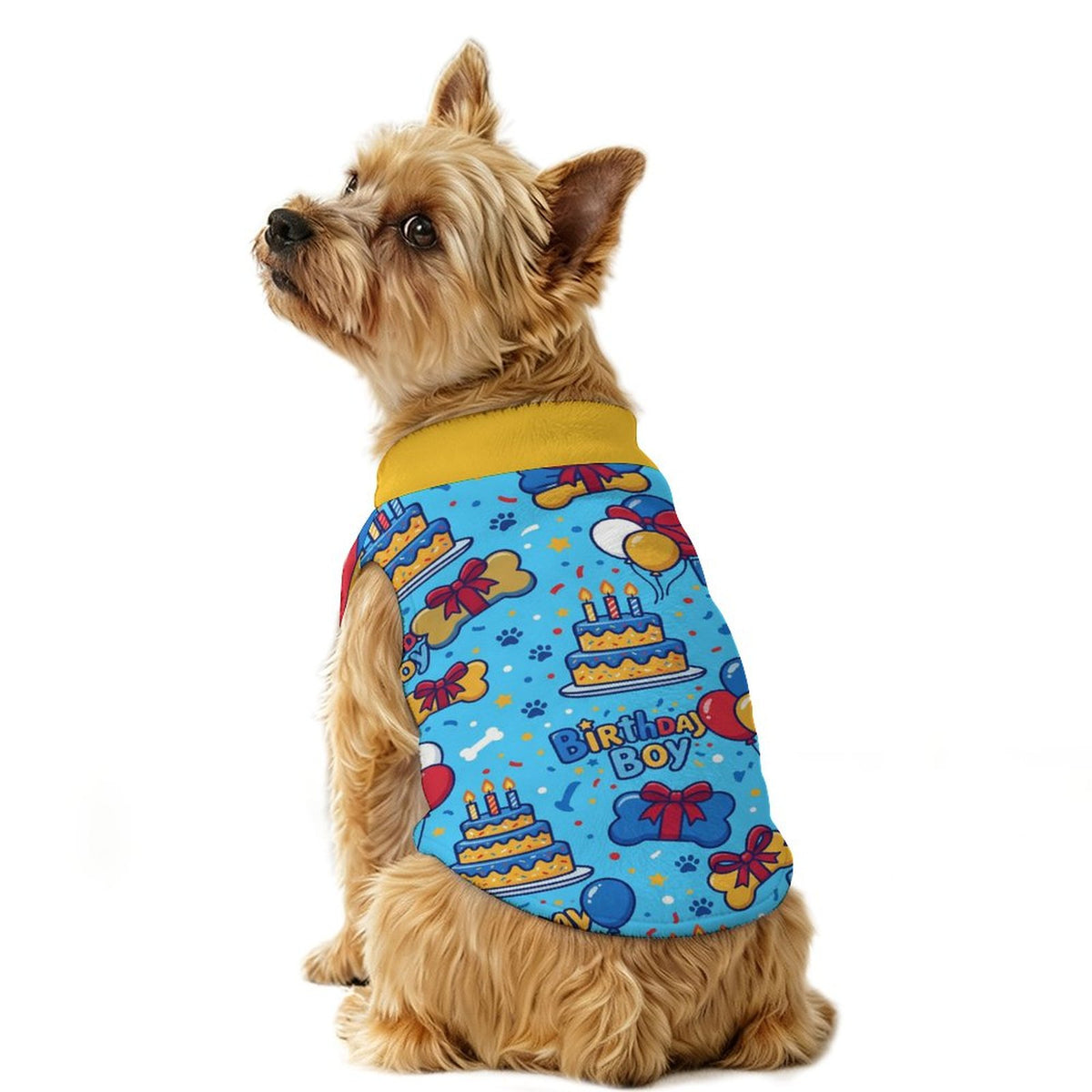 Birthday Boy Small Dog Fleece Vest