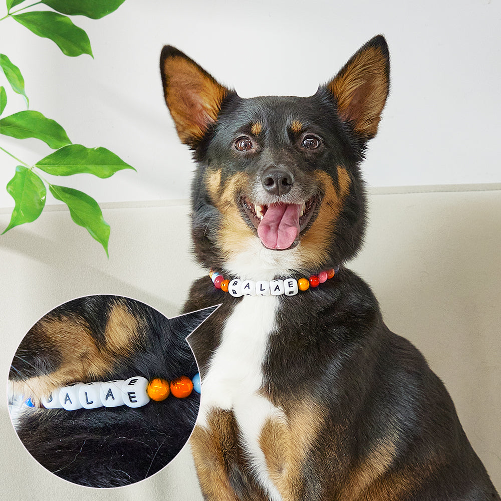 Custom Beaded Pet Collar – Personalized Dog Lover Gift