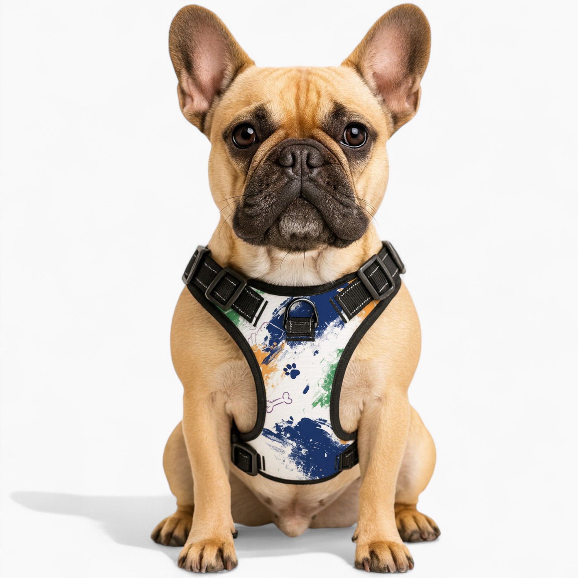 Oliver - NO-PULL Dog Harness & Leash Set | for small and large Dogs