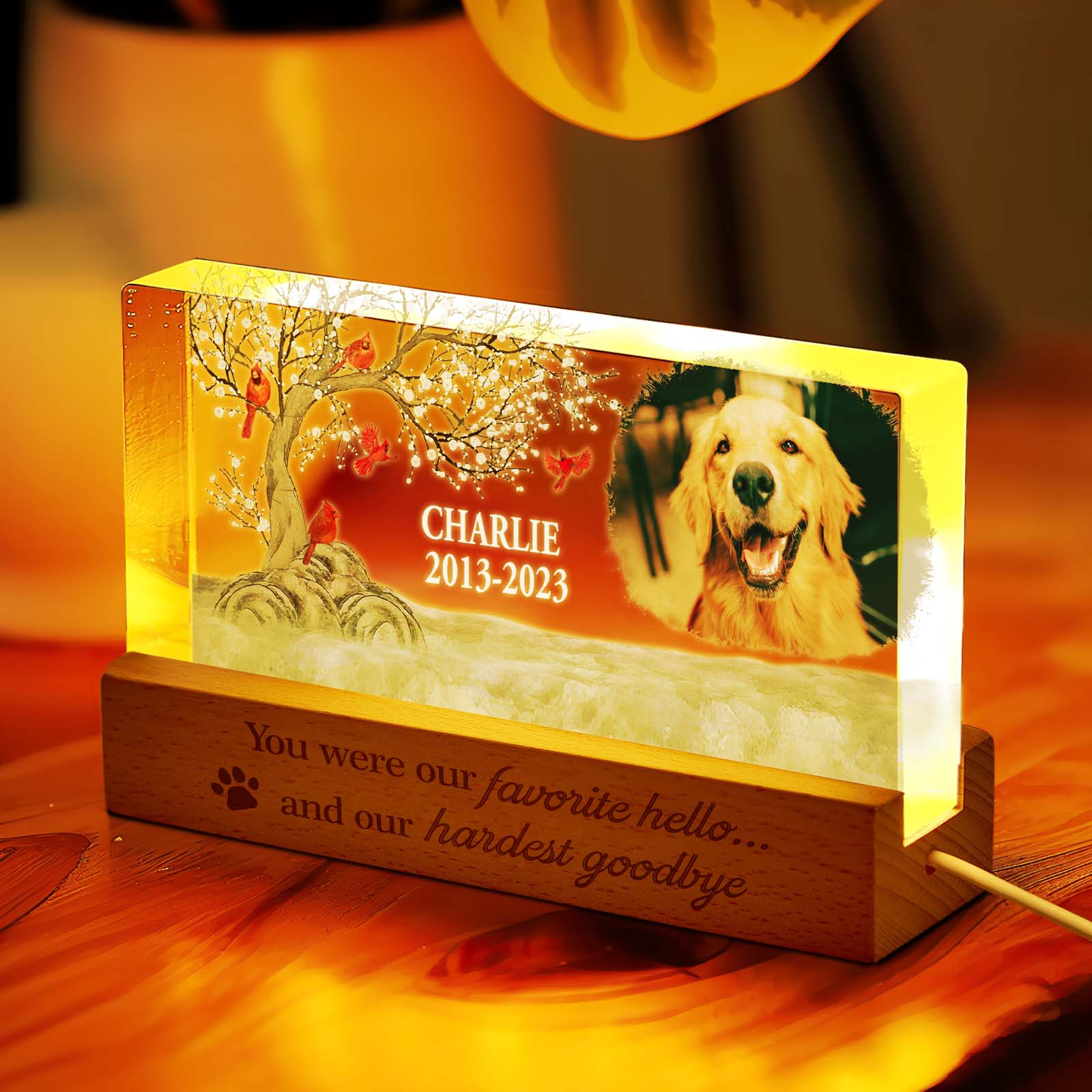 Personalized Dog Photo Night Light