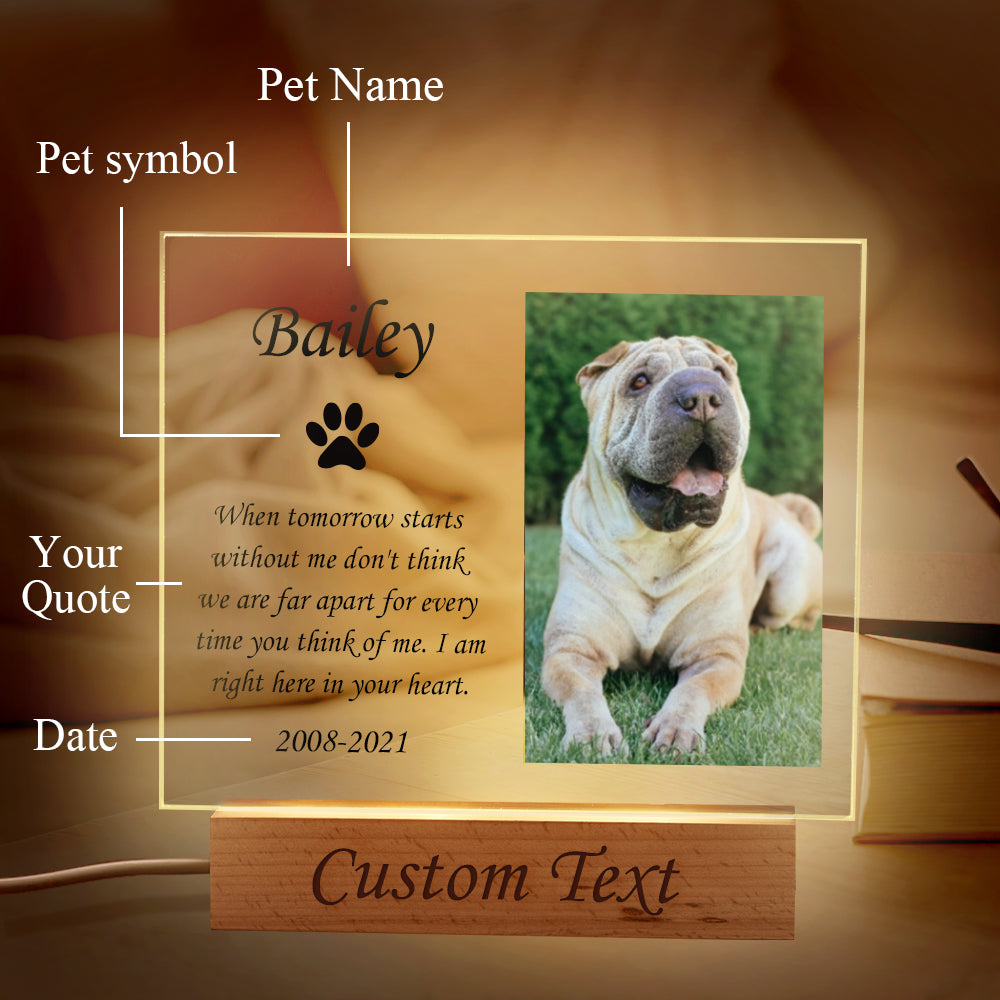 Personalized Dog Night Light – Custom Acrylic Lamp with Wooden Base