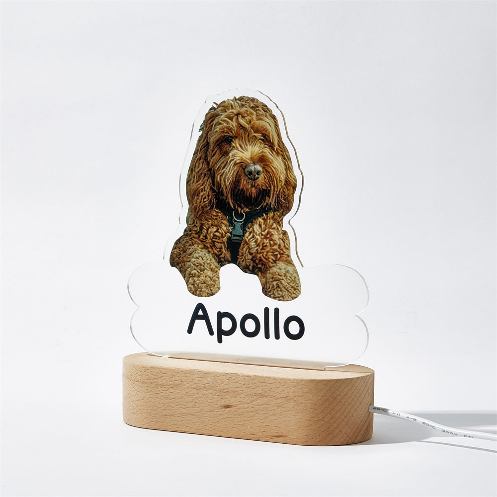 Custom Dog Night Light – Bone-Shaped Acrylic Plaque with LED Base