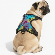 Lucy  - NO-PULL Dog Harness & Leash Set | for small and large Dogs