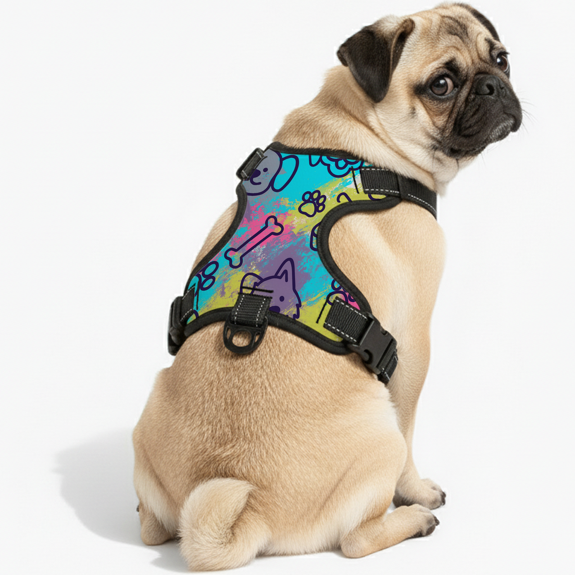 Lucy  - NO-PULL Dog Harness & Leash Set | for small and large Dogs