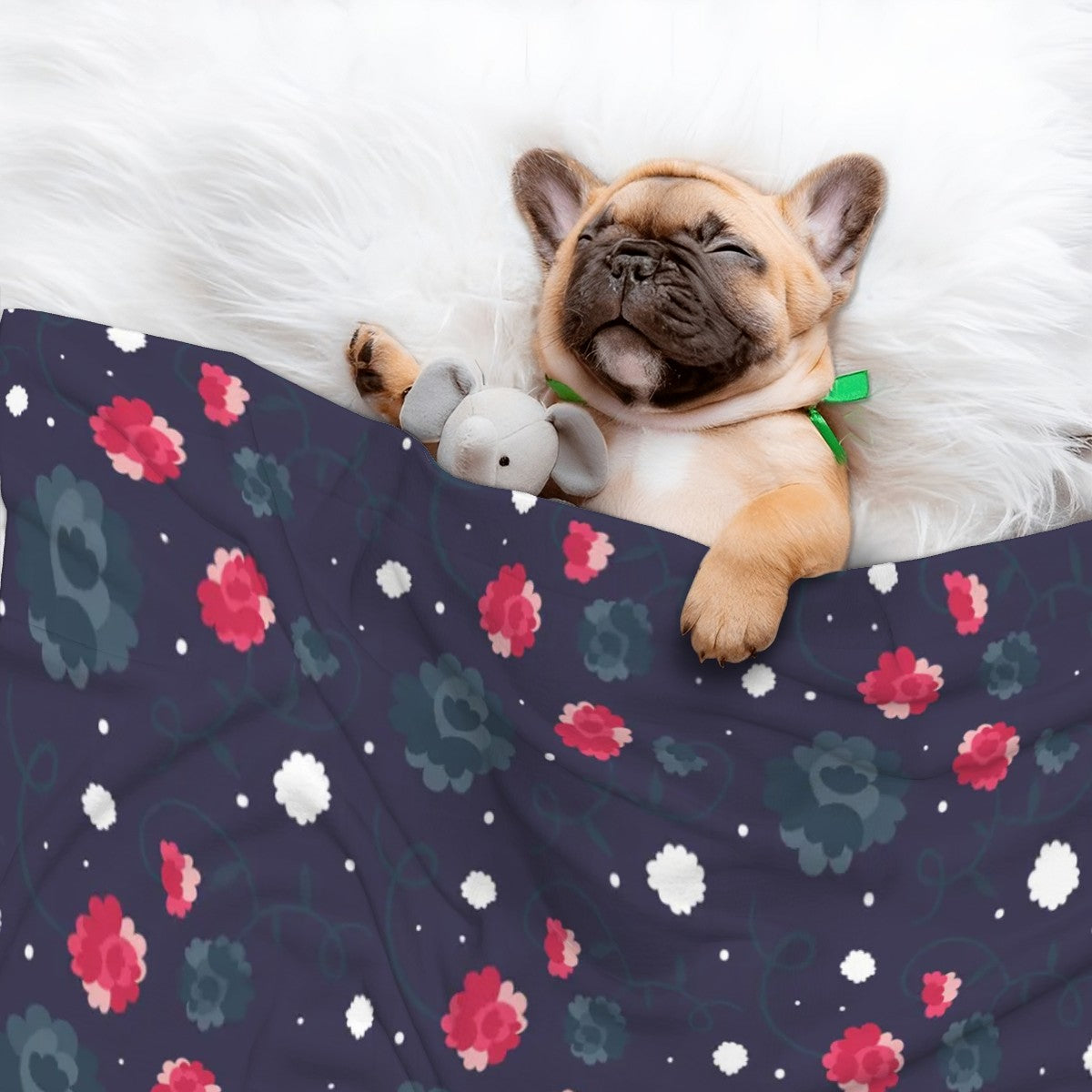 Jay - Cozy Dog Blanket