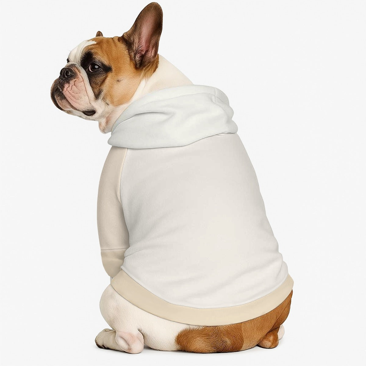 Leo - Dog hoodie