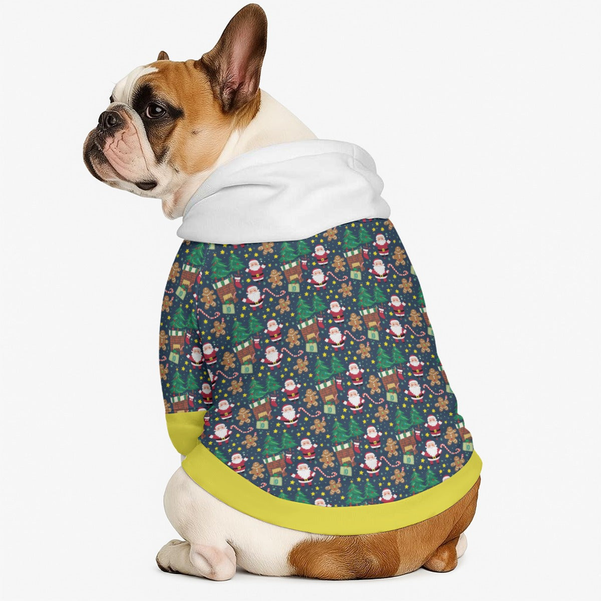 Chris- Dog hoodie
