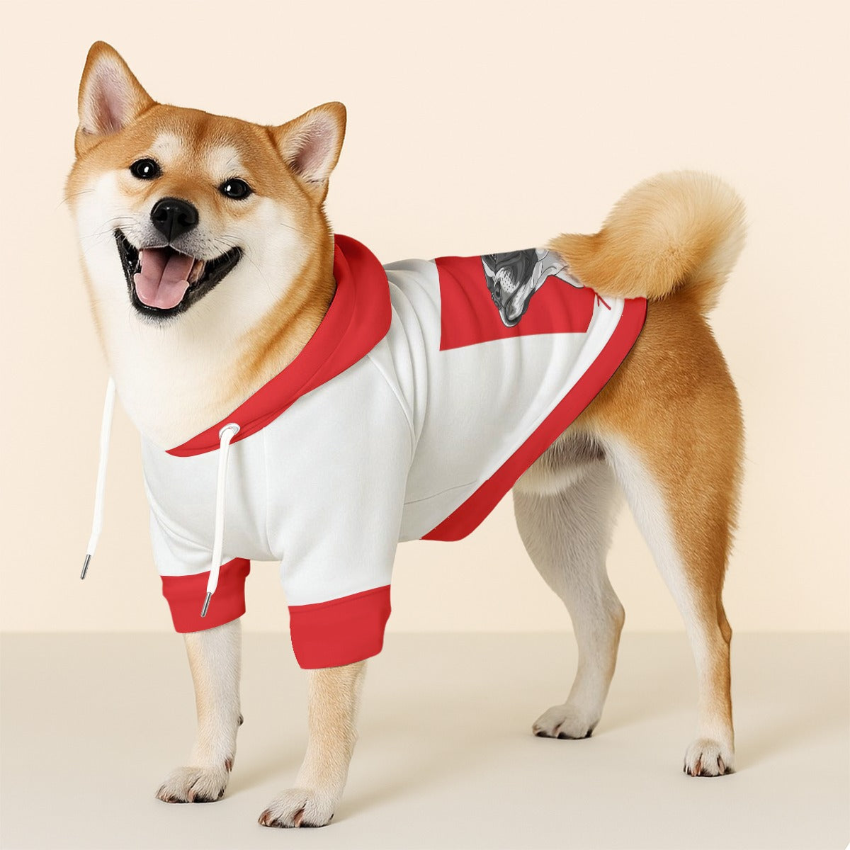 Baz - Dog hoodie