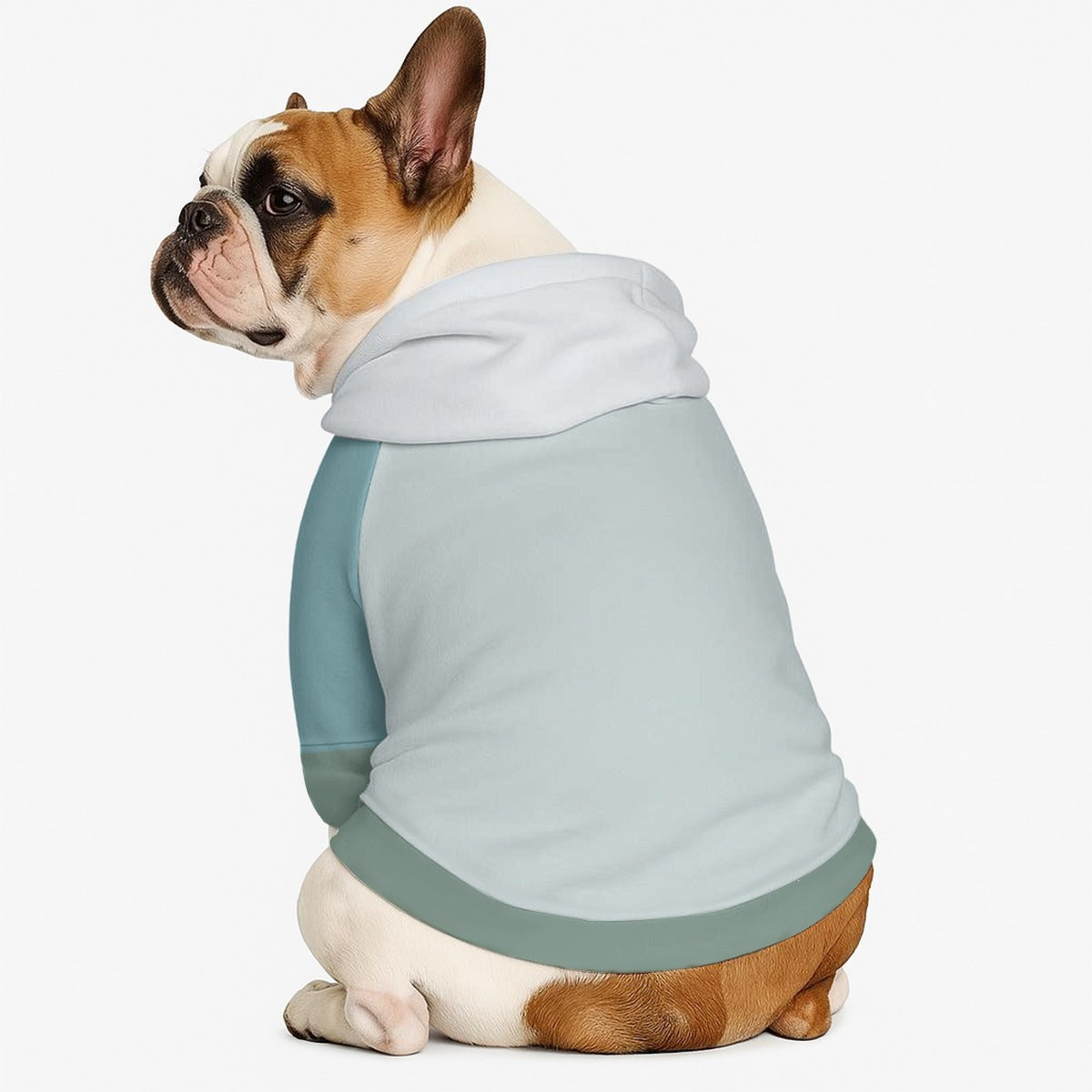 Ross - Dog hoodie