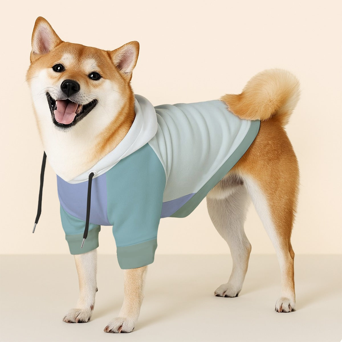 Ross - Dog hoodie