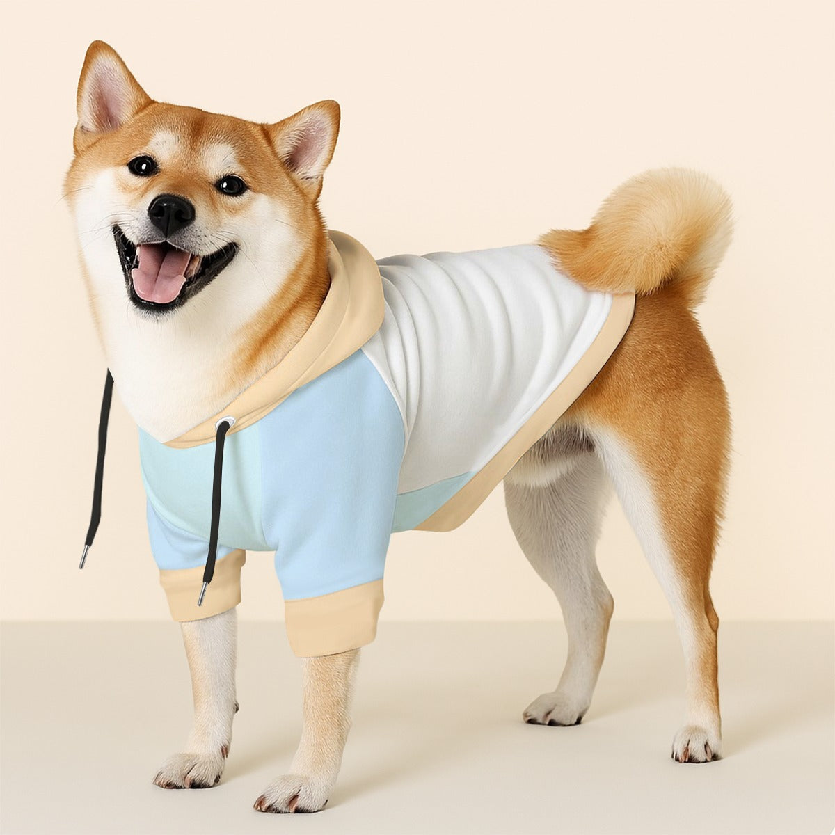 Winston - Dog hoodie