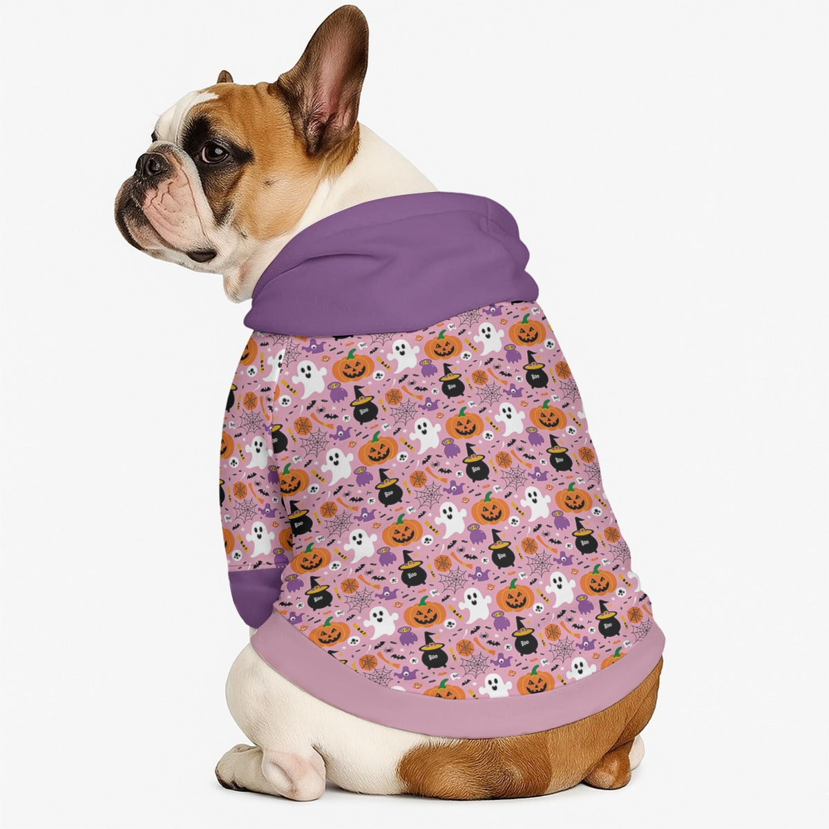 Ace - Dog hoodie