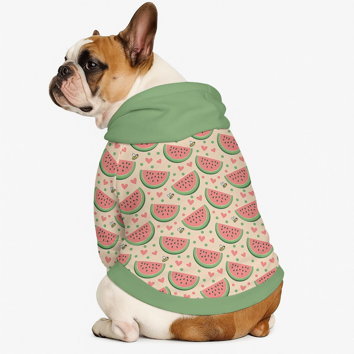 Coco - Dog hoodie
