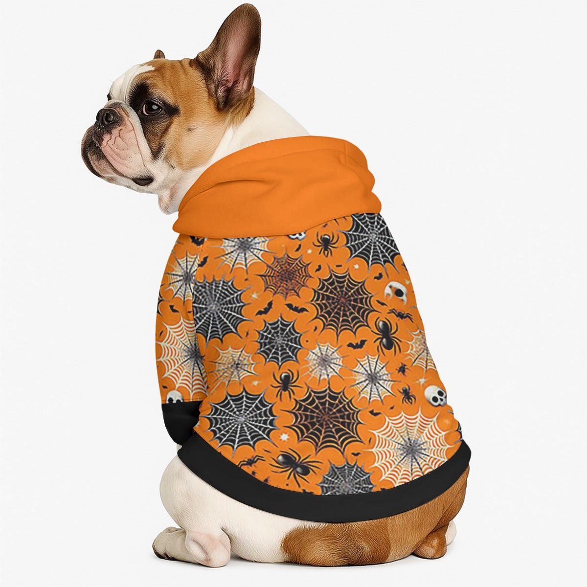Winnie - Dog hoodie