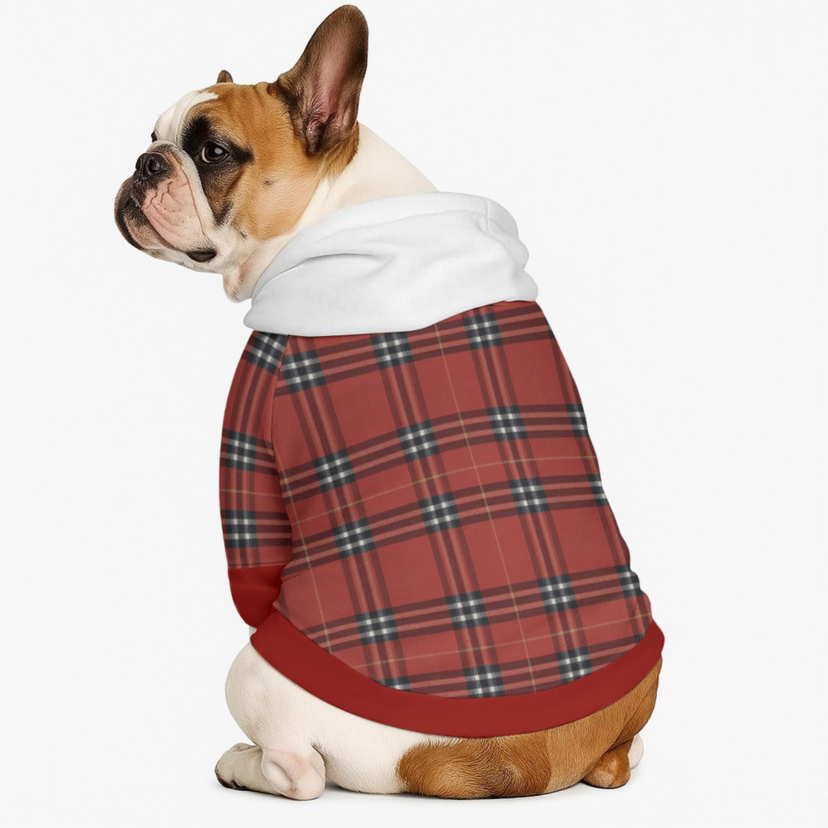 Christmas - Dog hoodie