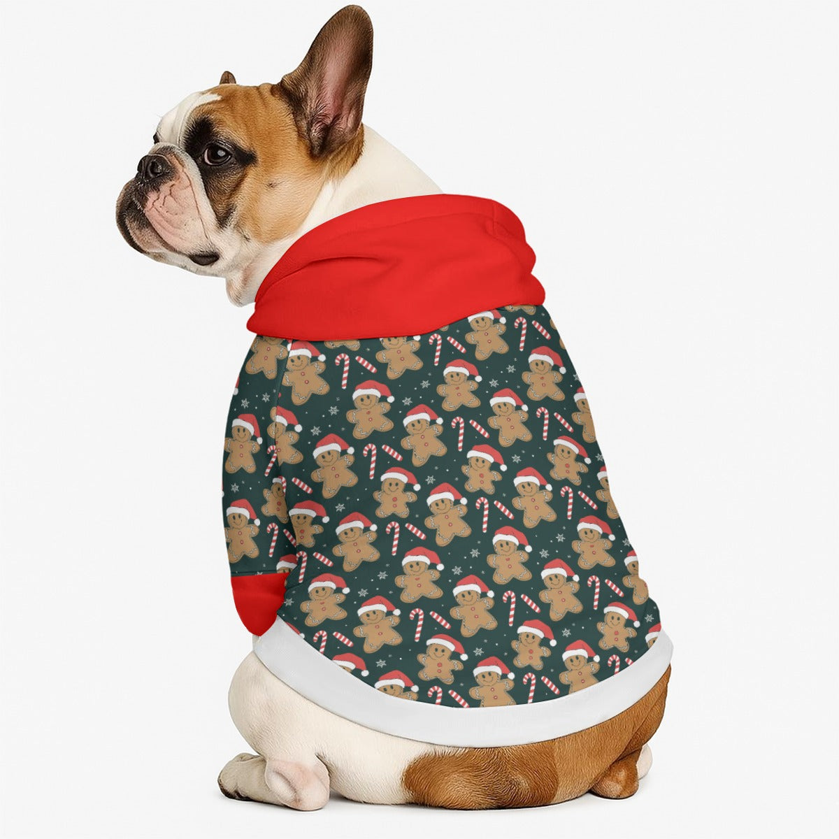 Chandler - Dog hoodie