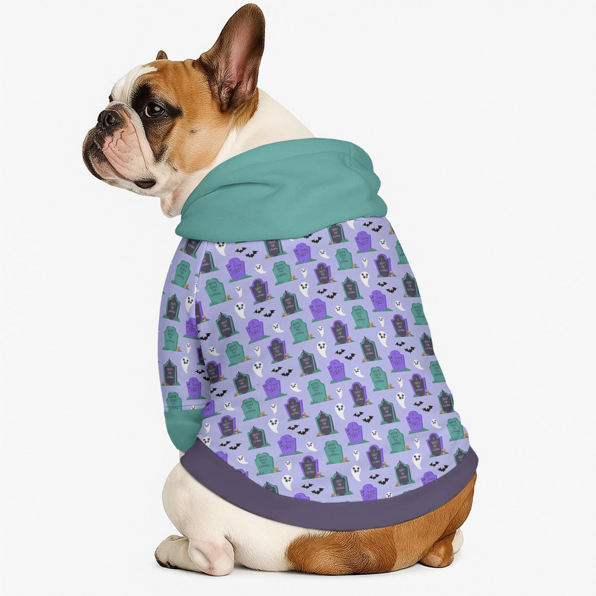 Ginger - Dog hoodie