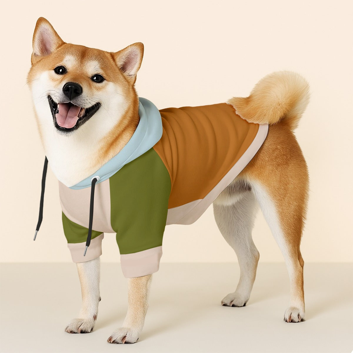 Ollie - Dog hoodie