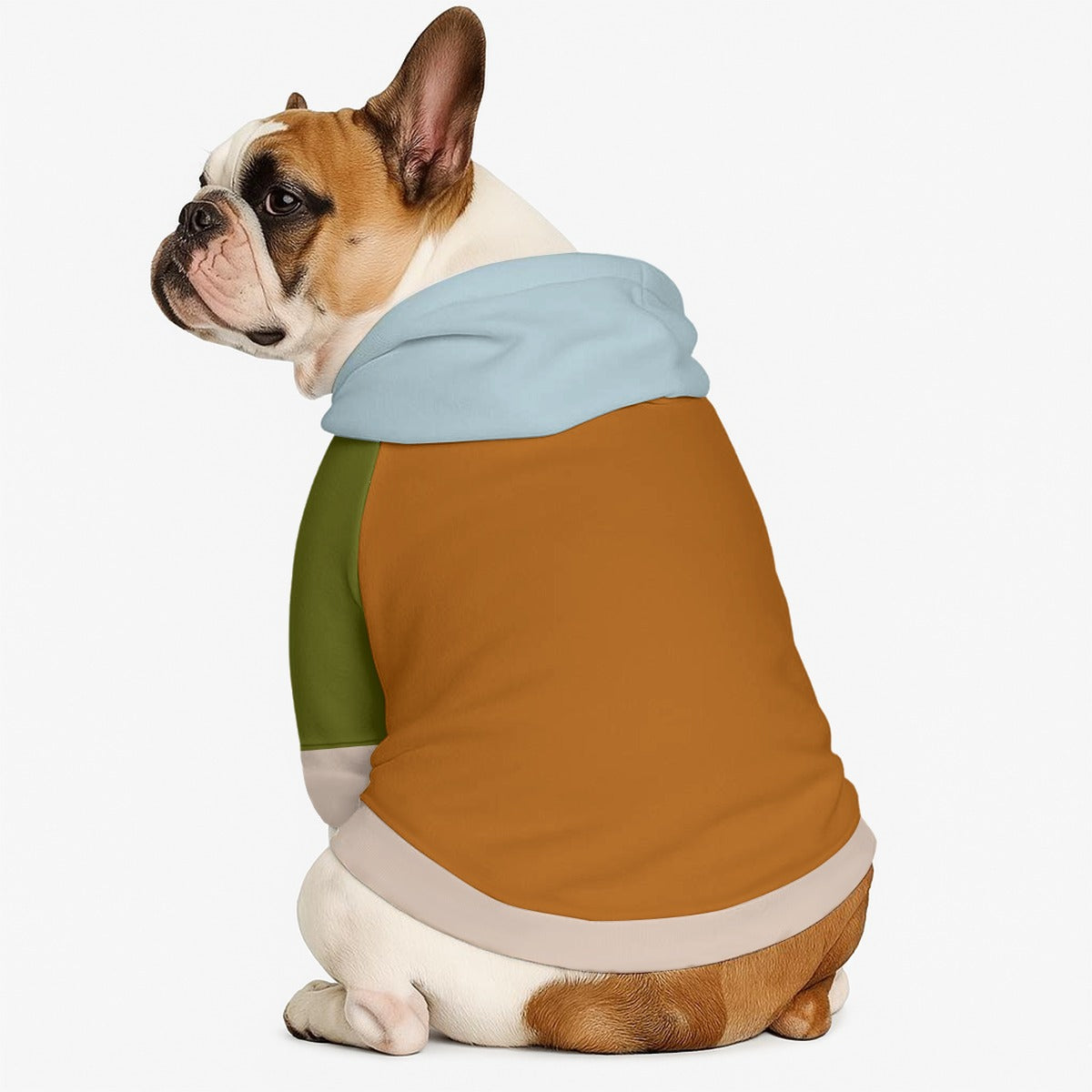 Ollie - Dog hoodie
