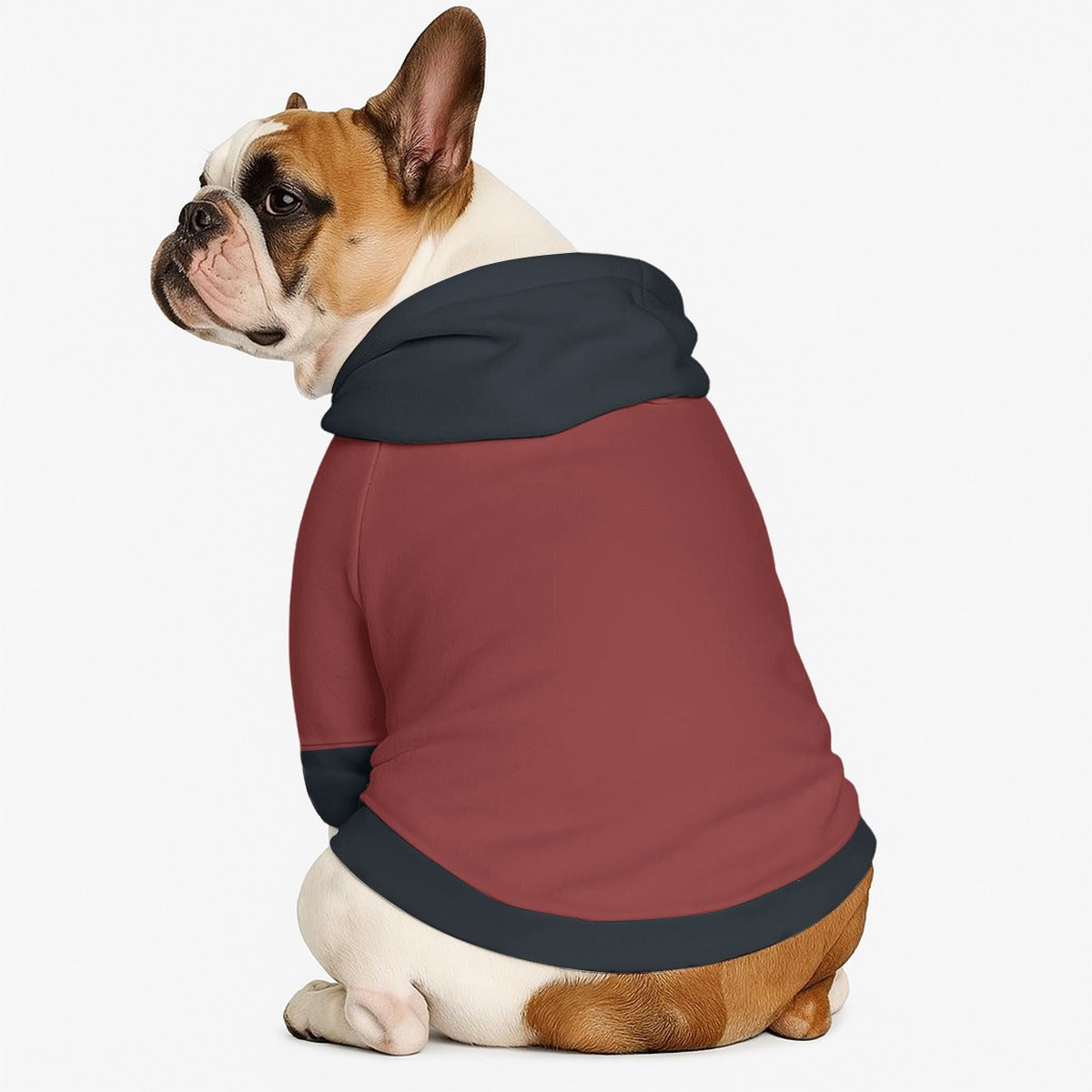 Loki - Dog hoodie