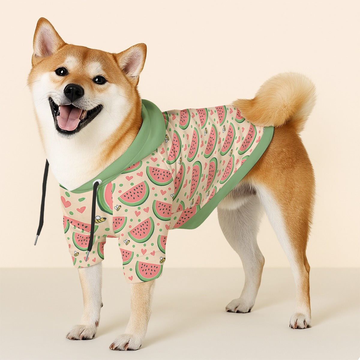Coco - Dog hoodie