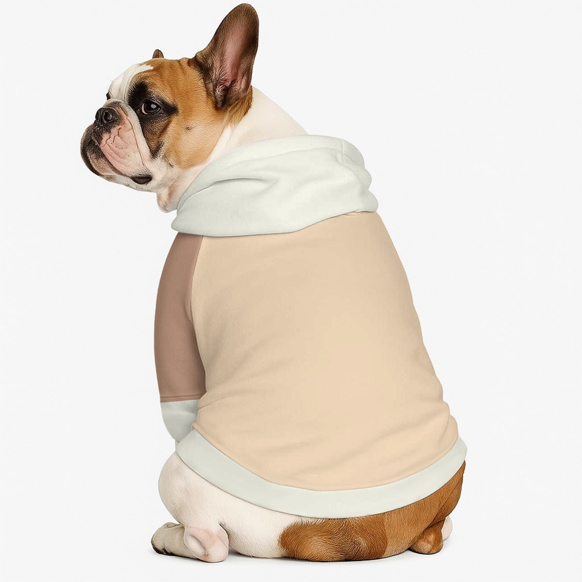 Teddy - Dog hoodie