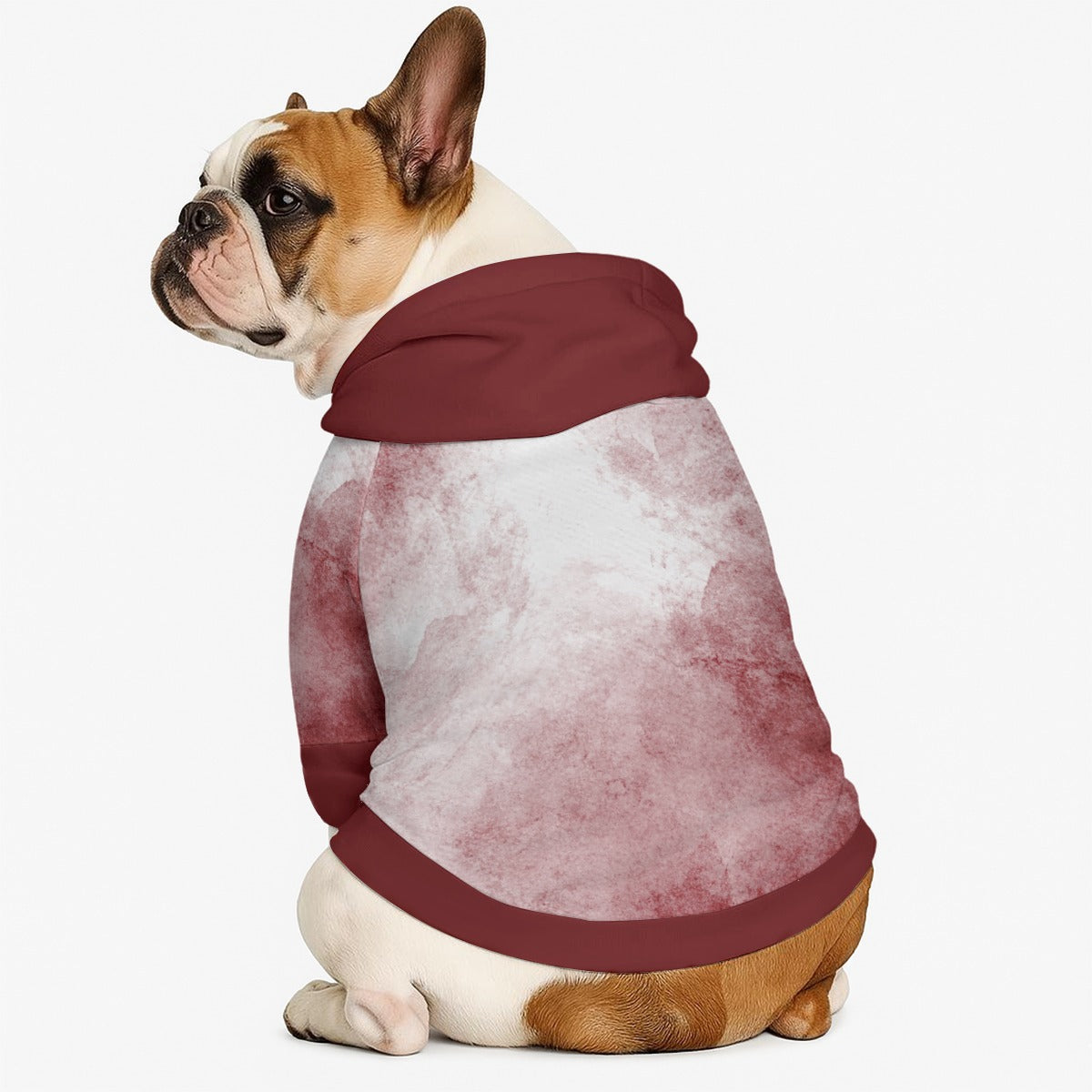 Monty - Dog hoodie